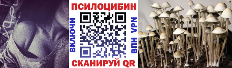 Псилоцибиновые грибы Psilocybe  где продают наркотики  Шатура 